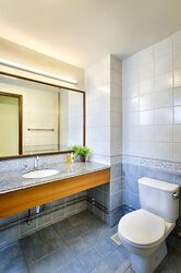 Gold Palm Mansion (D15), Apartment #418883431